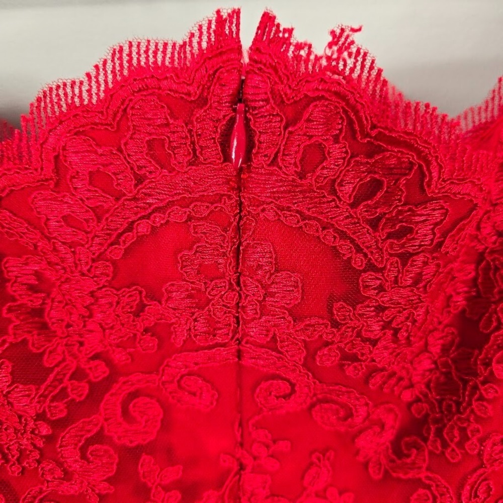 Badgley Mischka Sheath‎ Dress 8 Red Lace Flutter Sleeves Cocktail Romantic - Picture 9 of 16